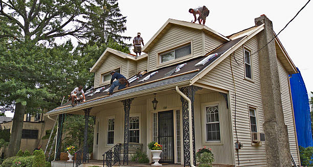 Best Gutter Installation and Roofing  in Fairview, NC